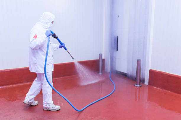 Best Sidewalk and Walkway Cleaning  in Florin, CA